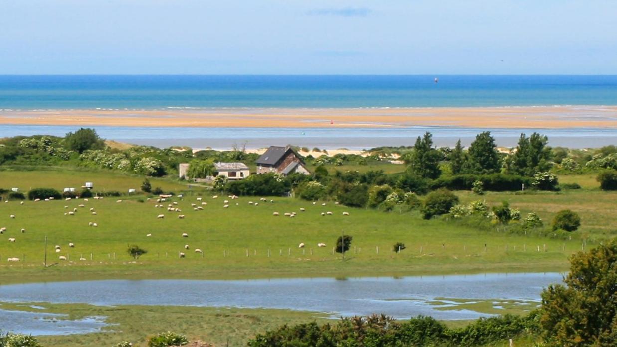 Le Marais Villa Montmartin-sur-Mer ภายนอก รูปภาพ